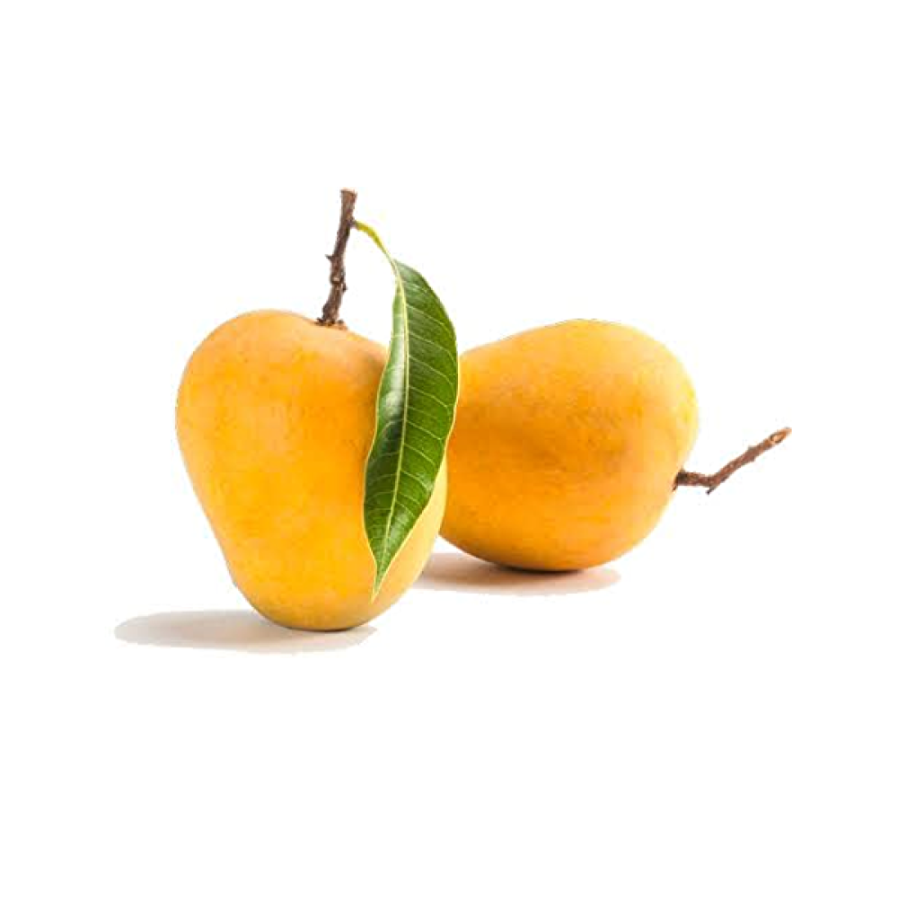 Ratnagiri Alphonso Mango ( மாம்பழம்)