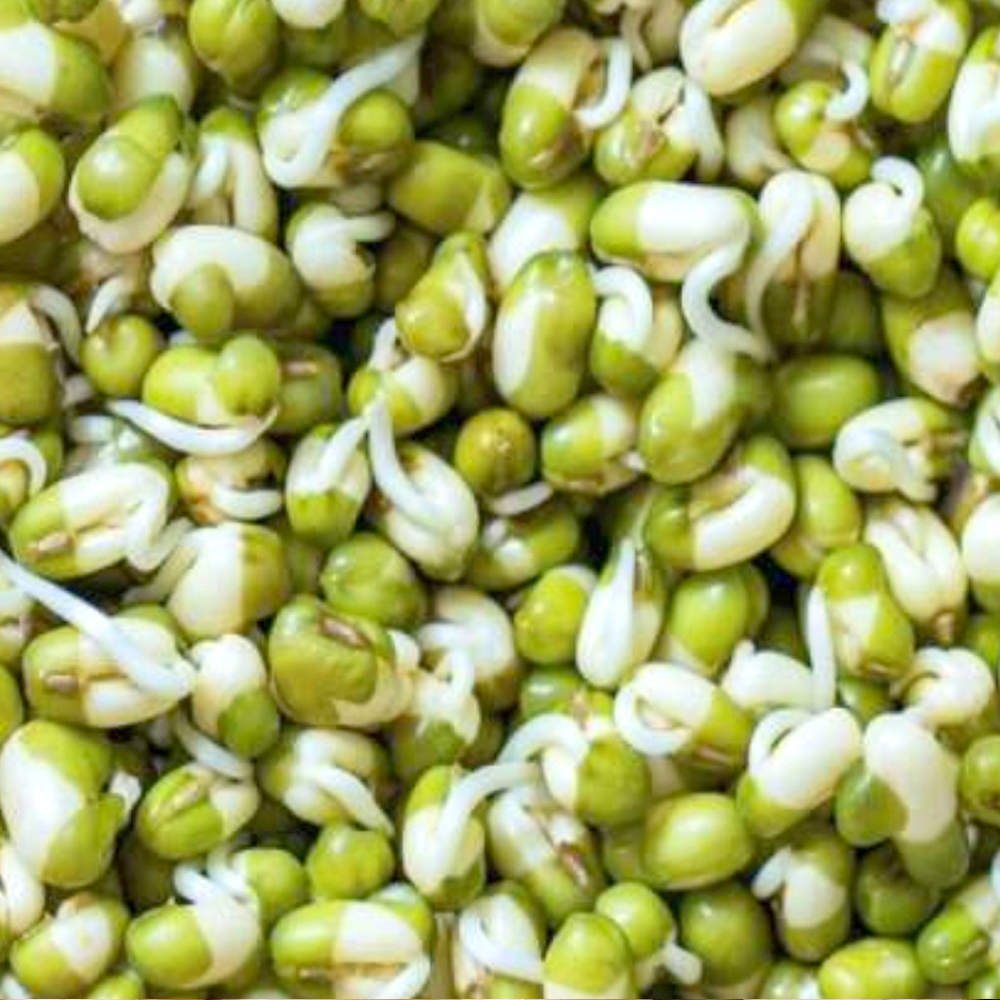 Sprouts Green Moong Dal - 200g  